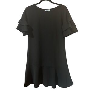 She + Sky Black Ruffle Sleeve Flared Mini Dress